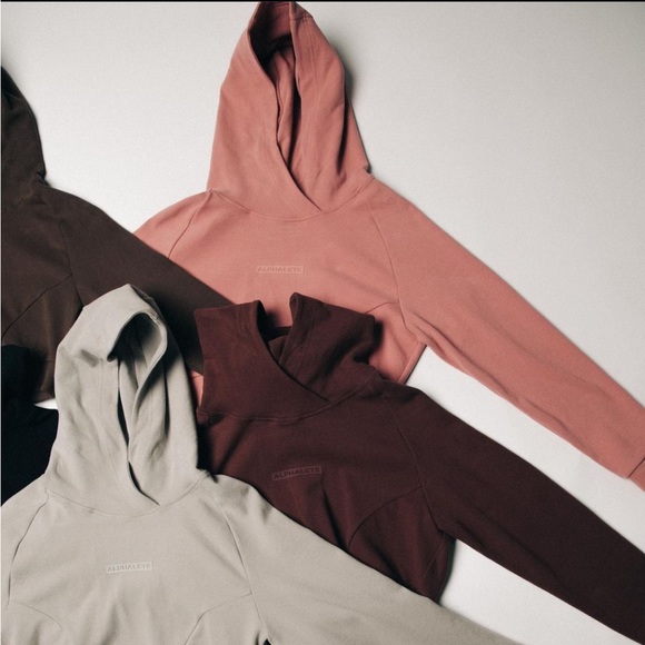 Alphalete identity pro crop hoodie in cranberry ice - Picture 5 of 16